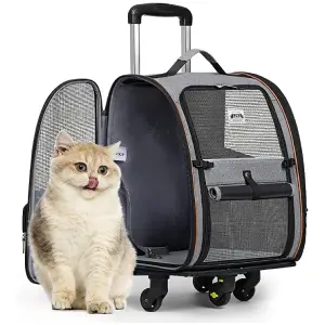 mejores transportines para viajar con gatos