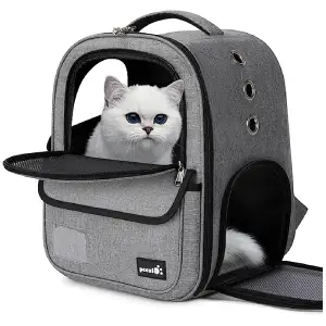 mejores transportines para viajar con gatos